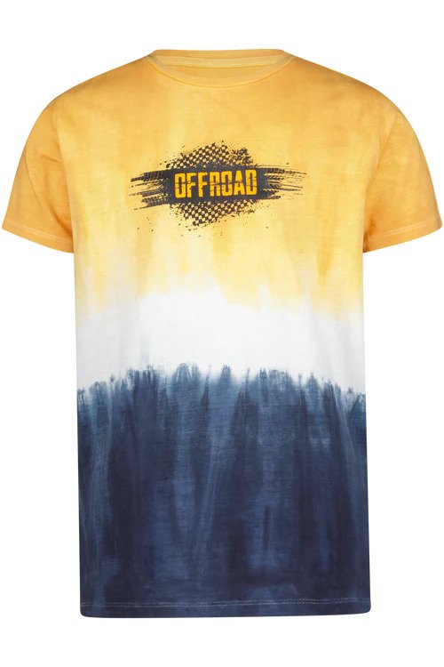 Boys Dip Dye T Shirt